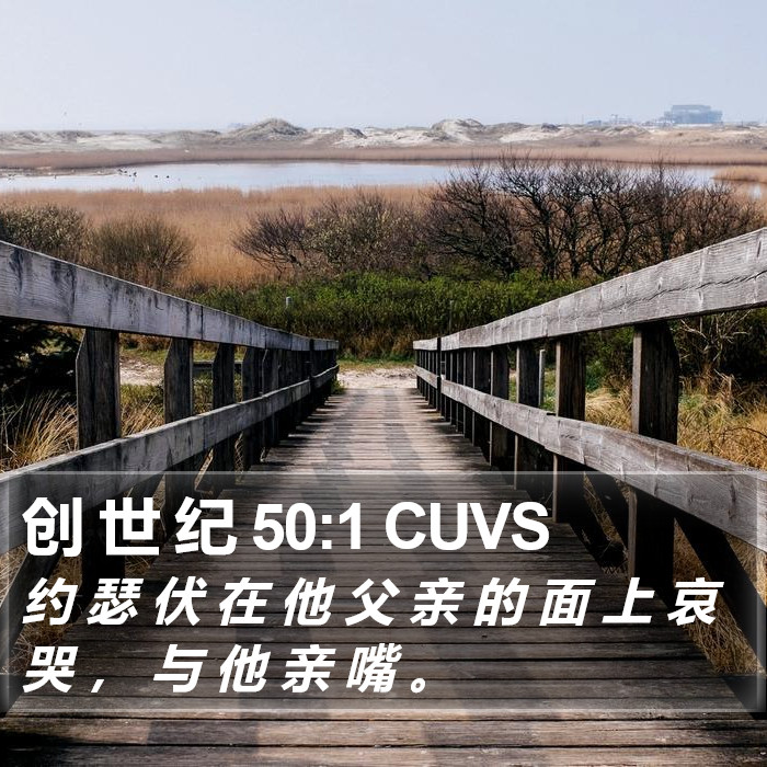 创 世 纪 50:1 CUVS Bible Study