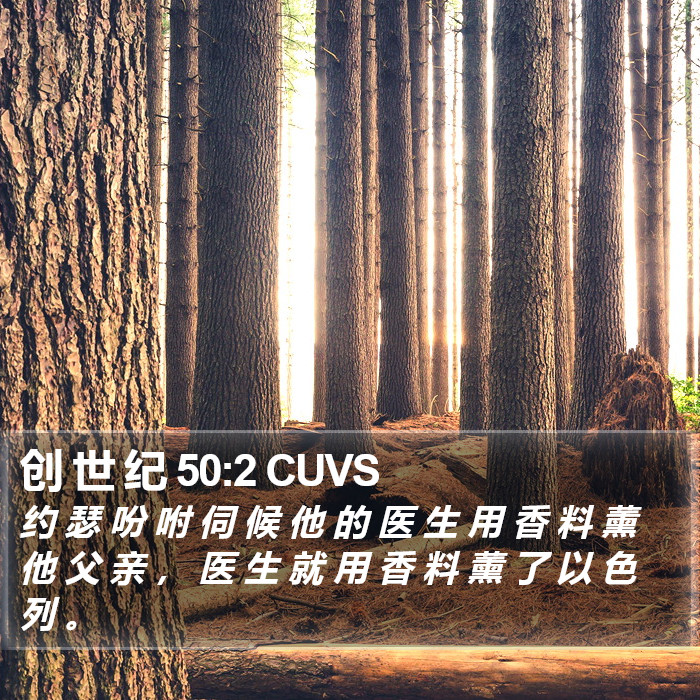 创 世 纪 50:2 CUVS Bible Study