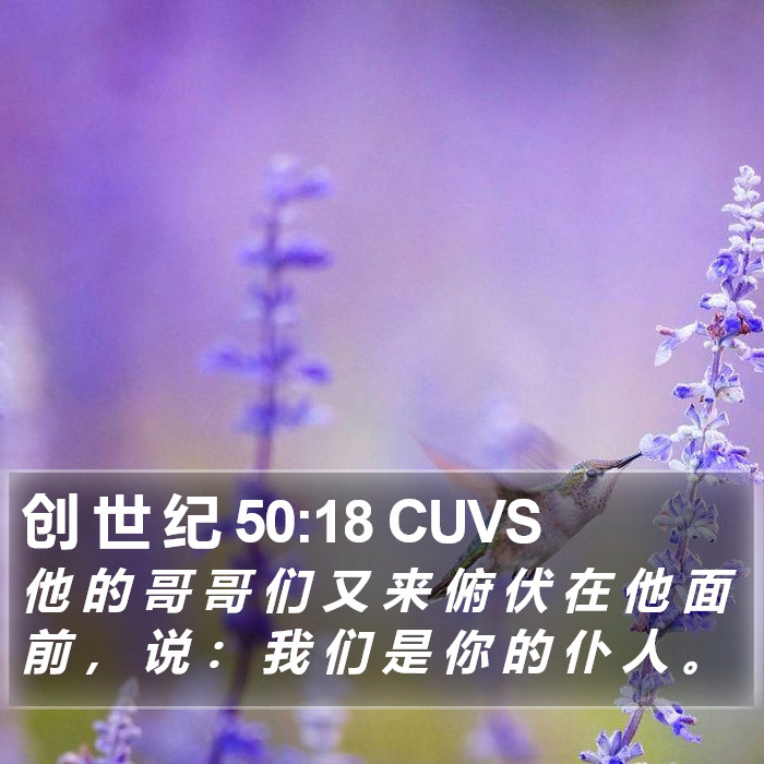 创 世 纪 50:18 CUVS Bible Study