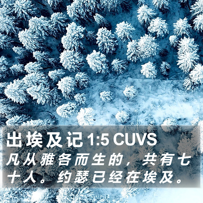 出 埃 及 记 1:5 CUVS Bible Study