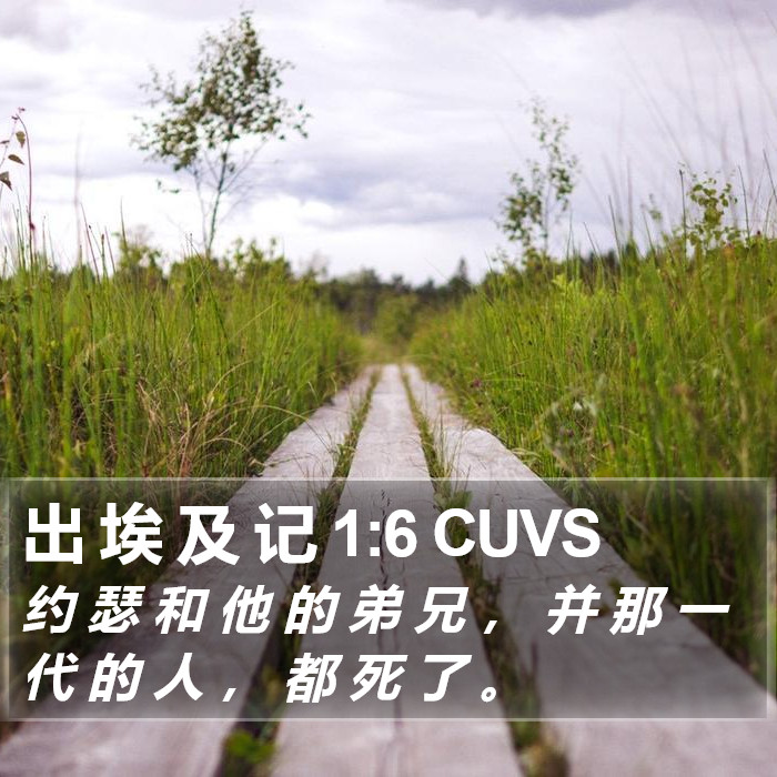 出 埃 及 记 1:6 CUVS Bible Study