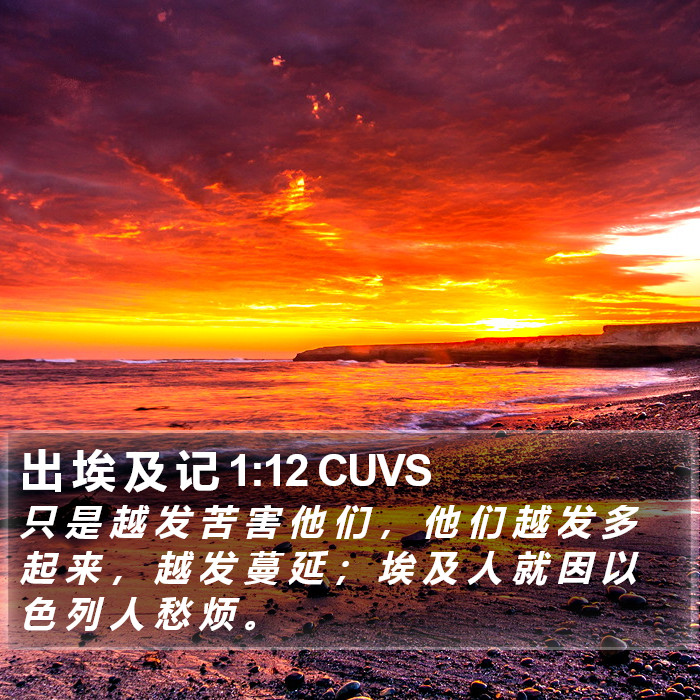 出 埃 及 记 1:12 CUVS Bible Study