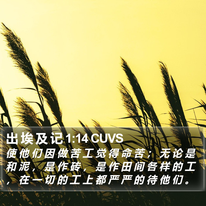 出 埃 及 记 1:14 CUVS Bible Study