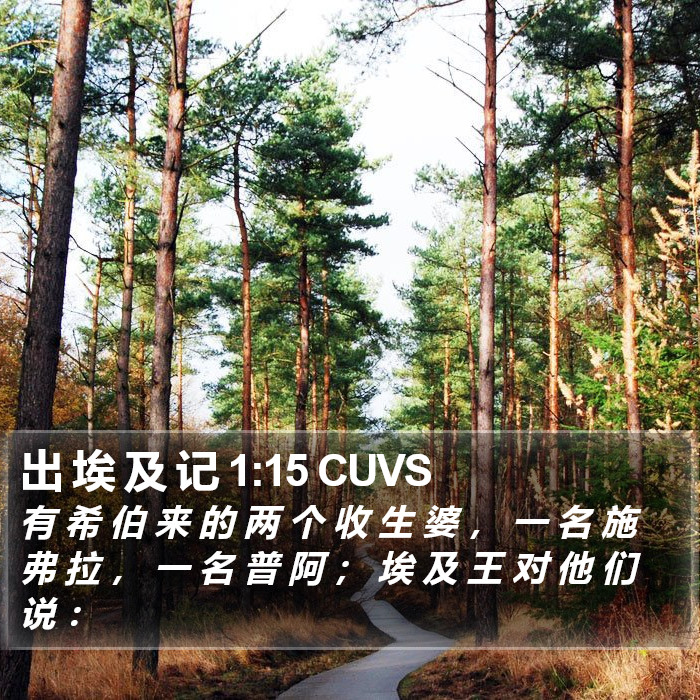 出 埃 及 记 1:15 CUVS Bible Study