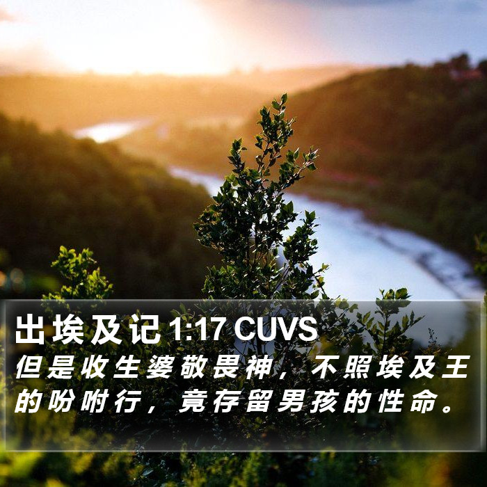 出 埃 及 记 1:17 CUVS Bible Study