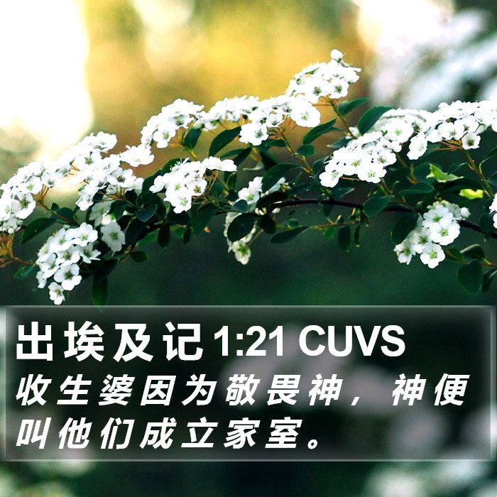 出 埃 及 记 1:21 CUVS Bible Study