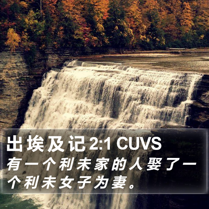 出 埃 及 记 2:1 CUVS Bible Study