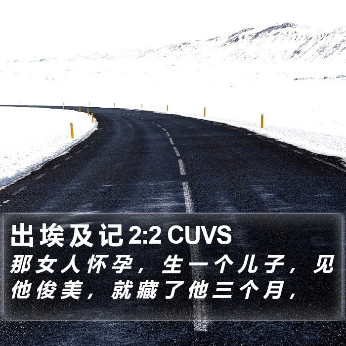 出 埃 及 记 2:2 CUVS Bible Study