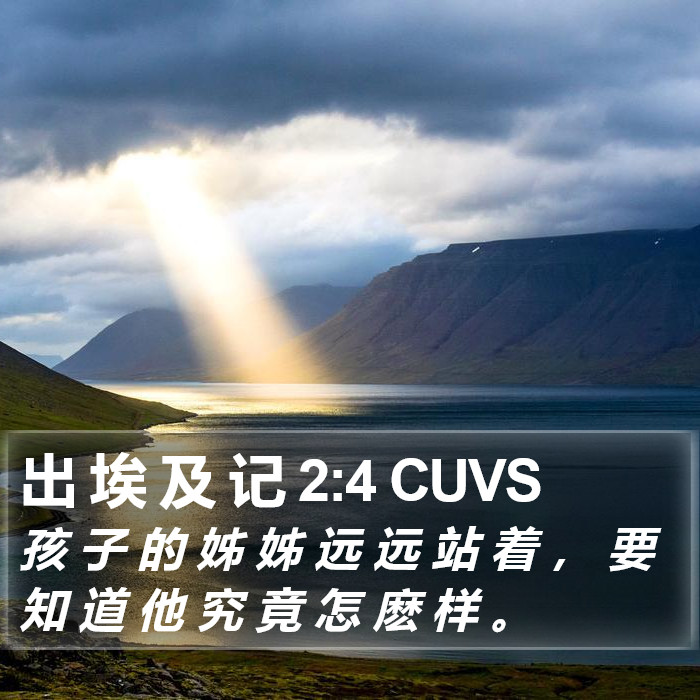 出 埃 及 记 2:4 CUVS Bible Study