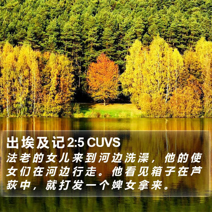 出 埃 及 记 2:5 CUVS Bible Study