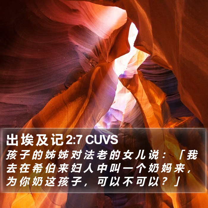 出 埃 及 记 2:7 CUVS Bible Study