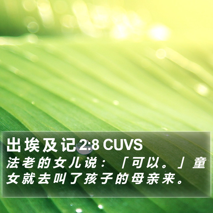 出 埃 及 记 2:8 CUVS Bible Study