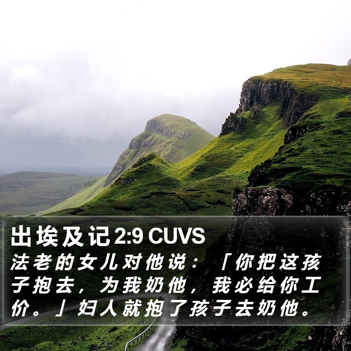 出 埃 及 记 2:9 CUVS Bible Study