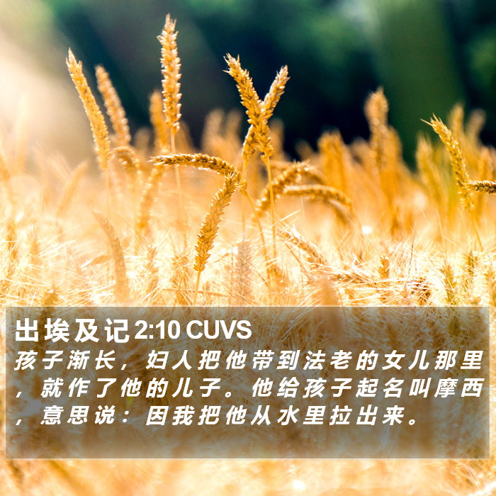 出 埃 及 记 2:10 CUVS Bible Study