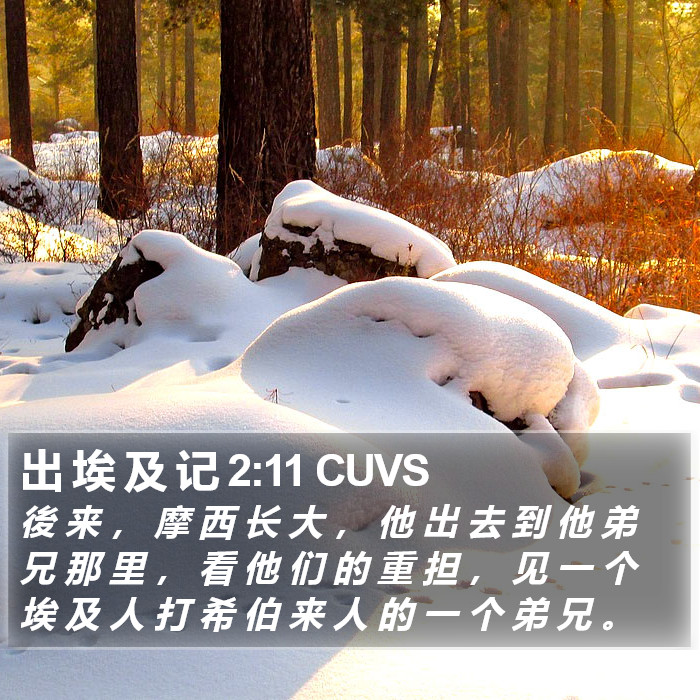 出 埃 及 记 2:11 CUVS Bible Study