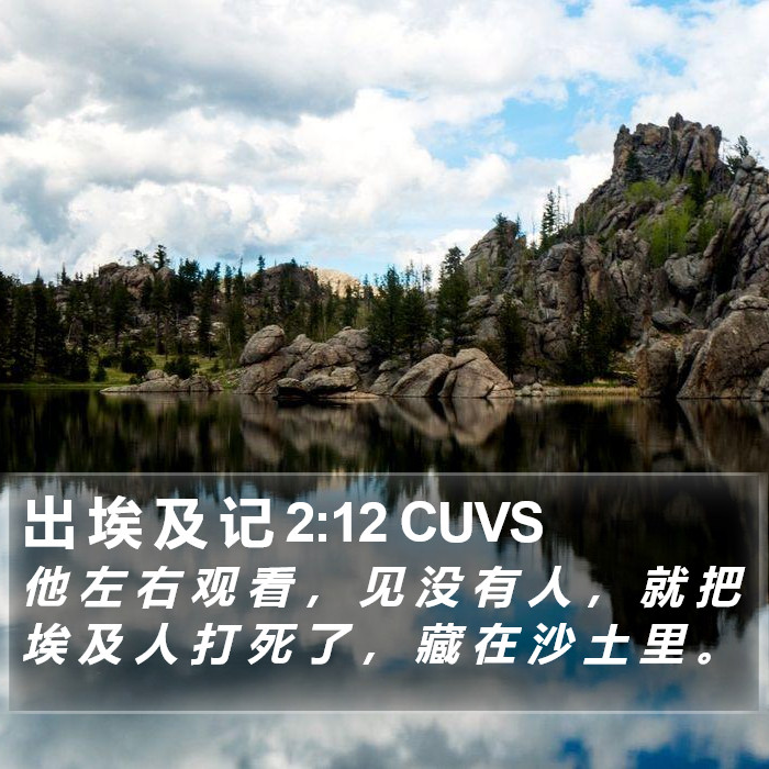 出 埃 及 记 2:12 CUVS Bible Study