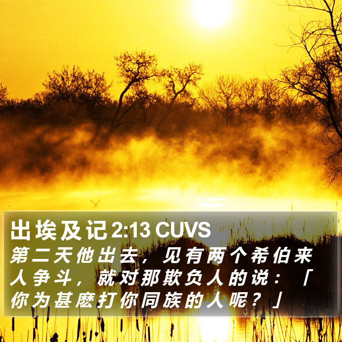 出 埃 及 记 2:13 CUVS Bible Study