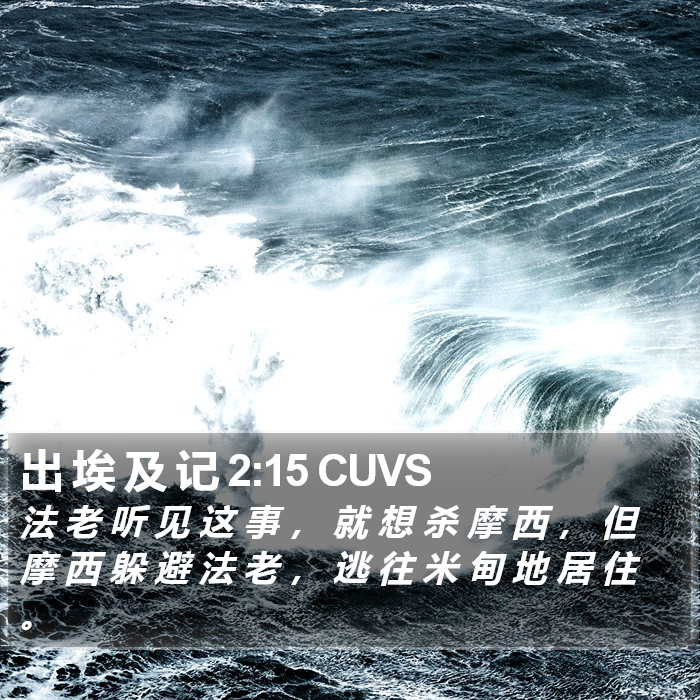 出 埃 及 记 2:15 CUVS Bible Study