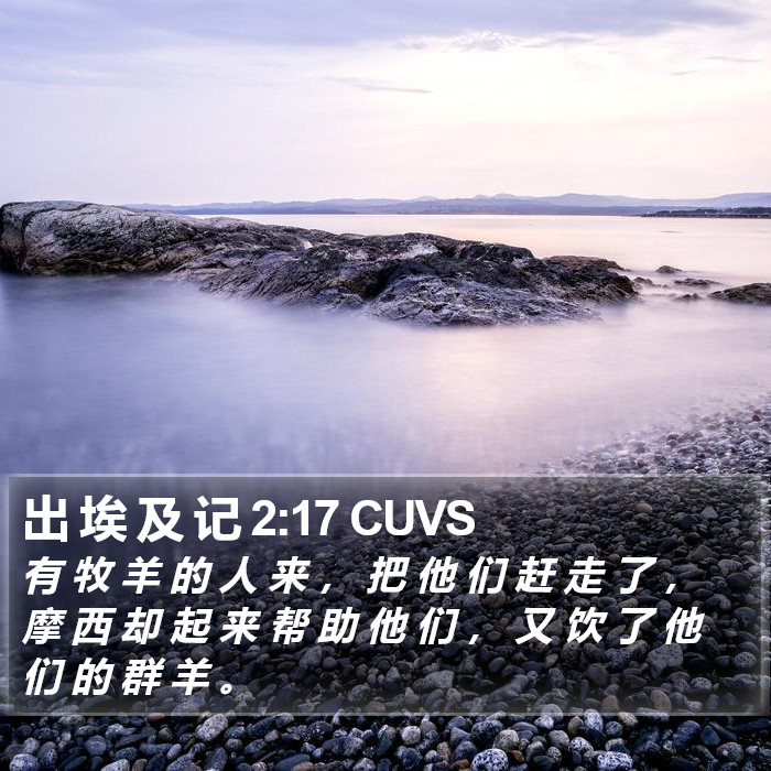 出 埃 及 记 2:17 CUVS Bible Study