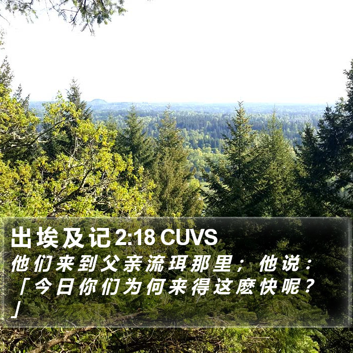 出 埃 及 记 2:18 CUVS Bible Study