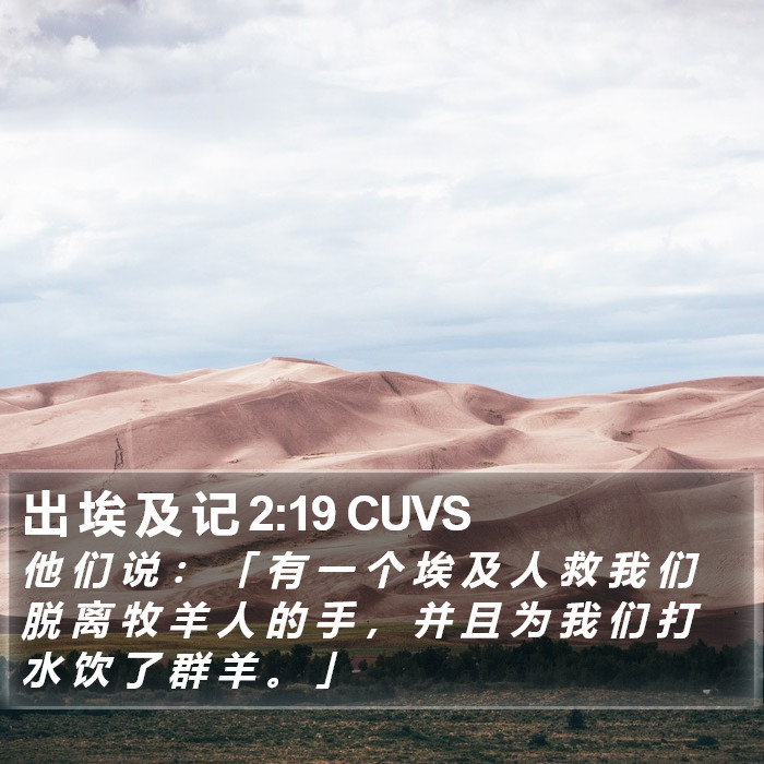 出 埃 及 记 2:19 CUVS Bible Study