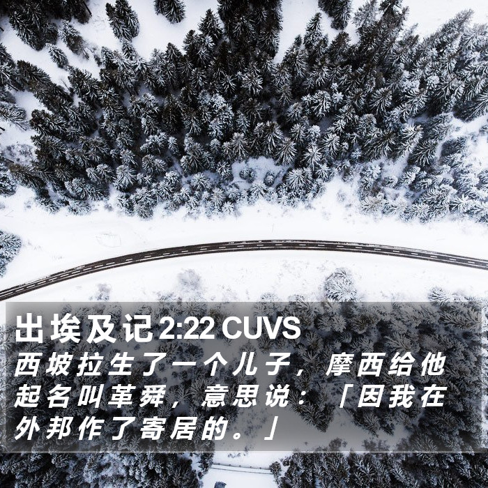 出 埃 及 记 2:22 CUVS Bible Study