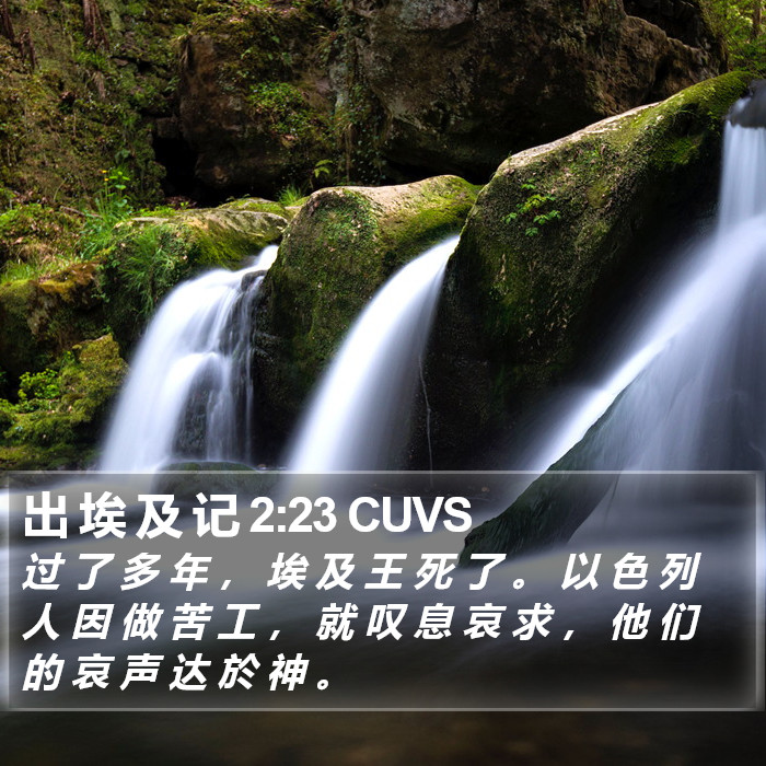 出 埃 及 记 2:23 CUVS Bible Study