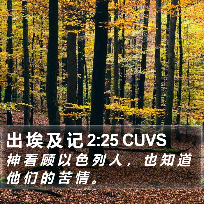 出 埃 及 记 2:25 CUVS Bible Study