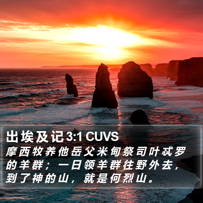 出 埃 及 记 3:1 CUVS Bible Study