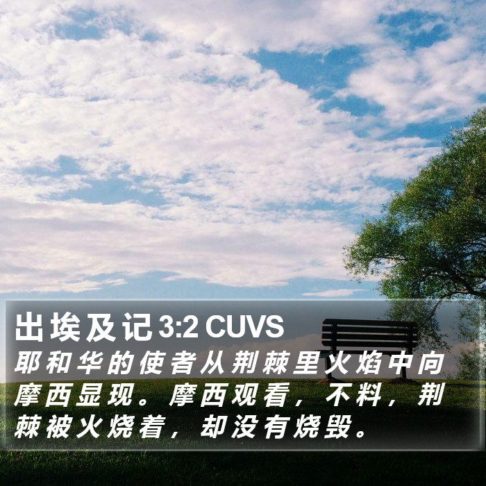 出 埃 及 记 3:2 CUVS Bible Study