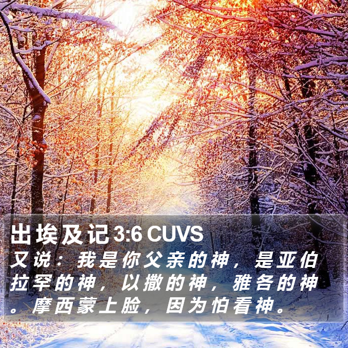 出 埃 及 记 3:6 CUVS Bible Study