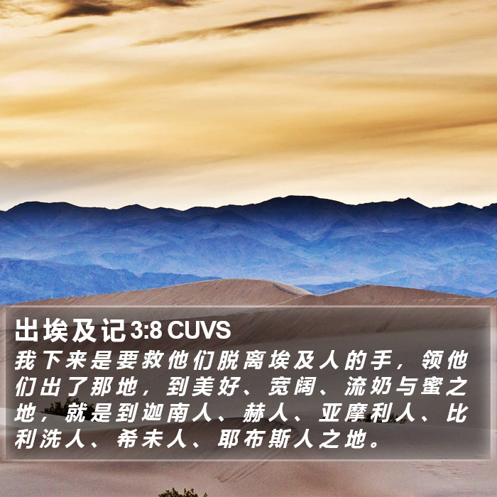 出 埃 及 记 3:8 CUVS Bible Study