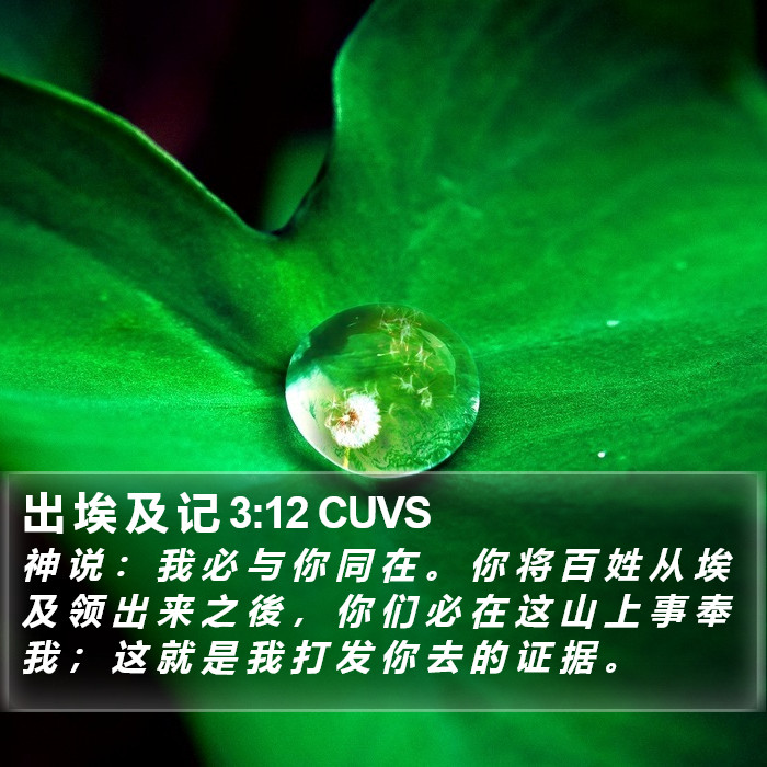 出 埃 及 记 3:12 CUVS Bible Study