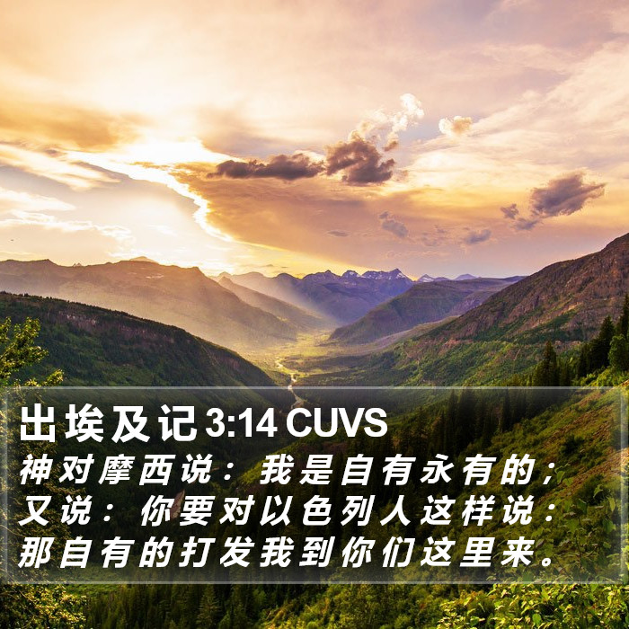 出 埃 及 记 3:14 CUVS Bible Study