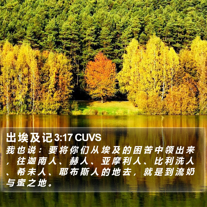 出 埃 及 记 3:17 CUVS Bible Study