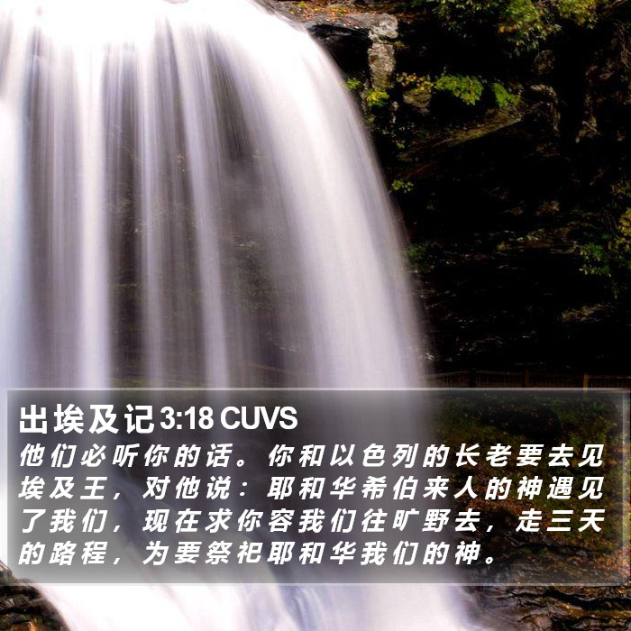 出 埃 及 记 3:18 CUVS Bible Study