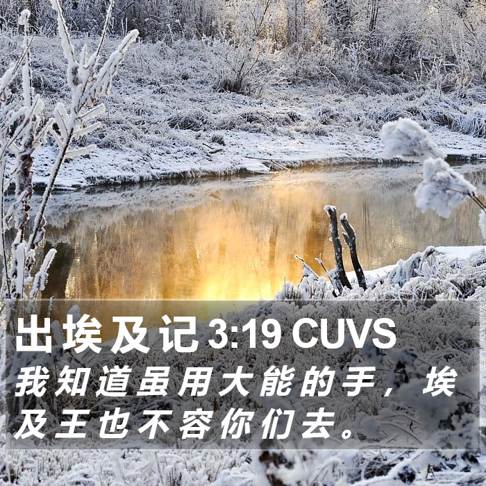 出 埃 及 记 3:19 CUVS Bible Study