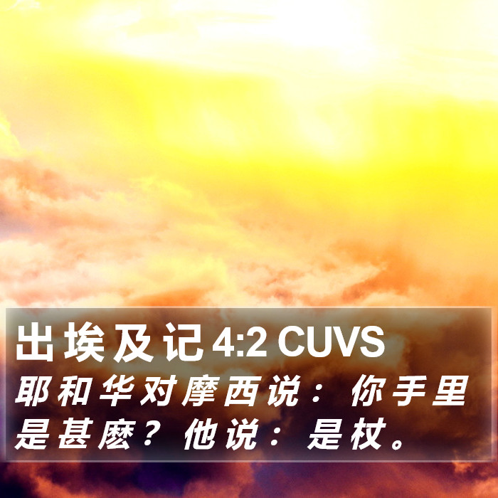 出 埃 及 记 4:2 CUVS Bible Study