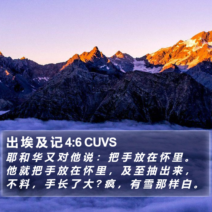 出 埃 及 记 4:6 CUVS Bible Study