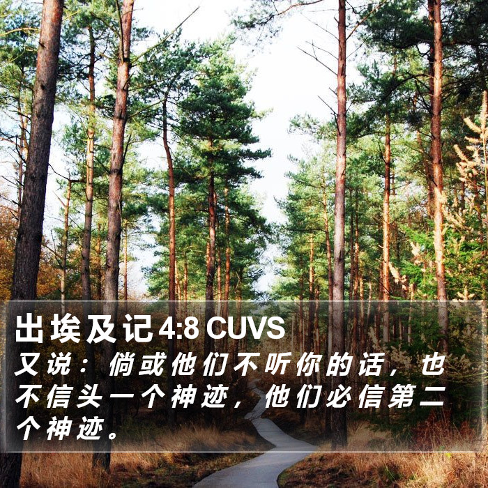 出 埃 及 记 4:8 CUVS Bible Study