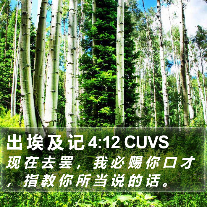 出 埃 及 记 4:12 CUVS Bible Study