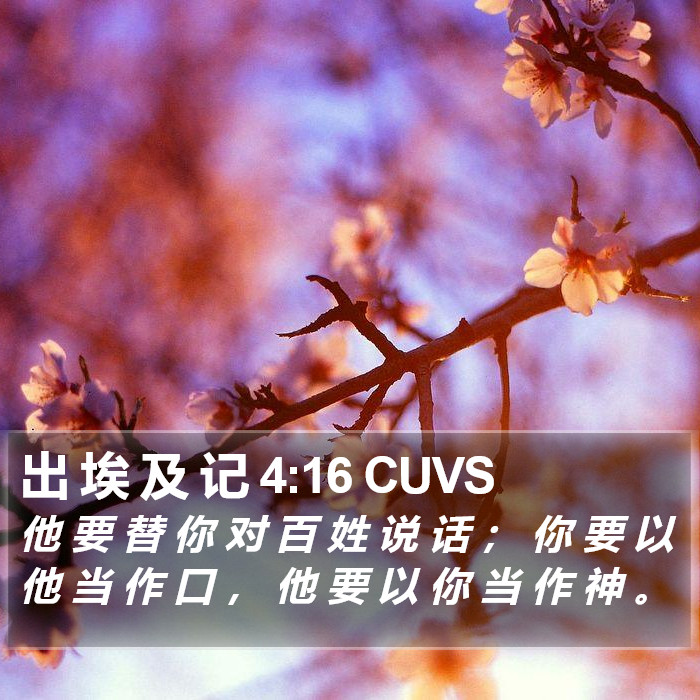 出 埃 及 记 4:16 CUVS Bible Study