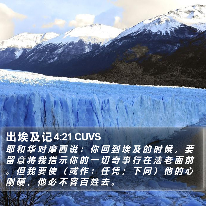 出 埃 及 记 4:21 CUVS Bible Study