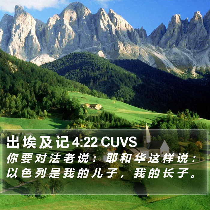 出 埃 及 记 4:22 CUVS Bible Study