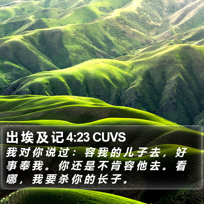 出 埃 及 记 4:23 CUVS Bible Study