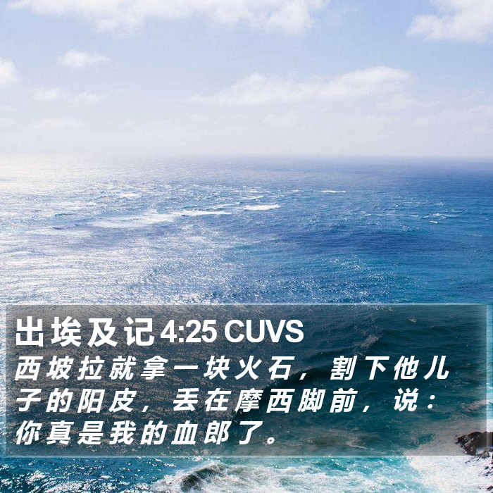 出 埃 及 记 4:25 CUVS Bible Study