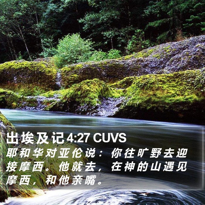 出 埃 及 记 4:27 CUVS Bible Study