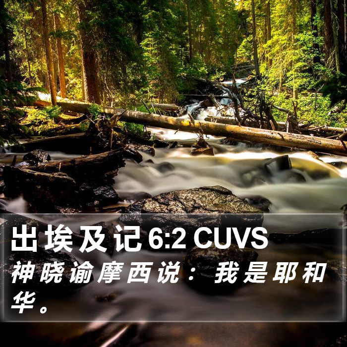 出 埃 及 记 6:2 CUVS Bible Study