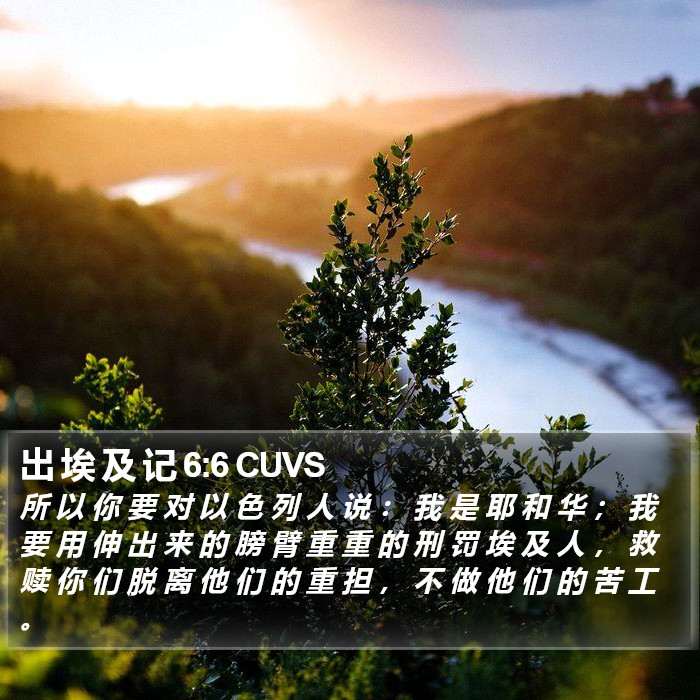 出 埃 及 记 6:6 CUVS Bible Study