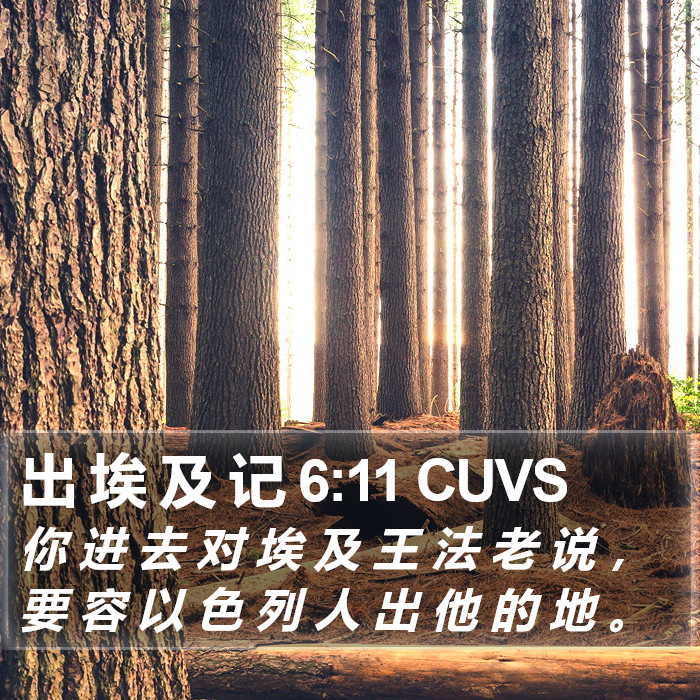 出 埃 及 记 6:11 CUVS Bible Study